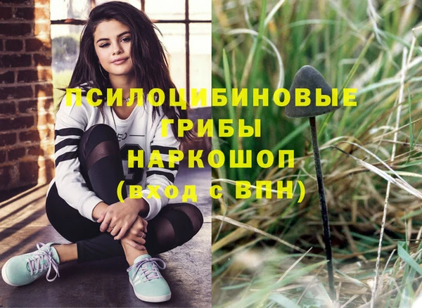 Альфа ПВП Алзамай