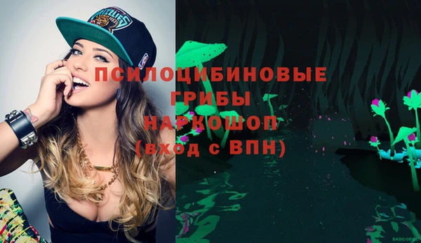 прущие грибы Покачи