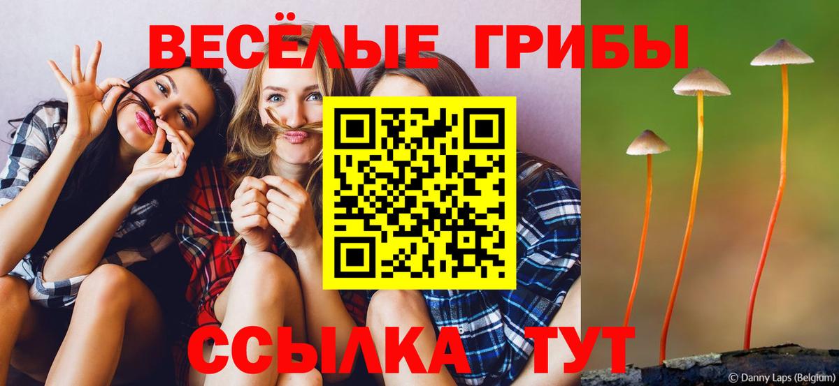 Псилоцибиновые грибы Magic Shrooms Советский